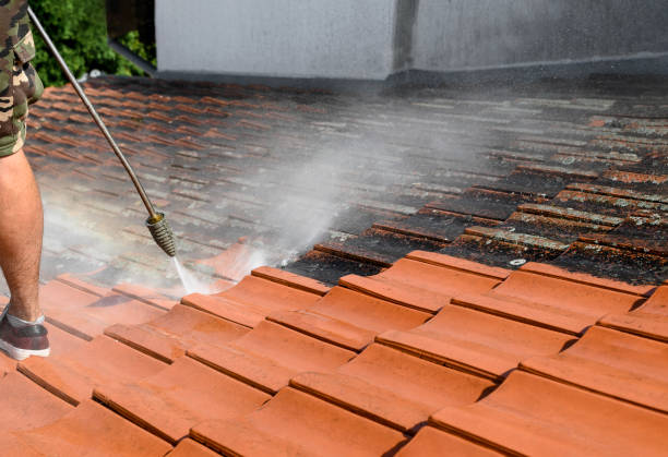 Best Commercial Pressure Washing  in Belle Glade, FL