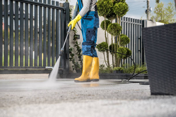 Best Deck Cleaning Services  in Belle Glade, FL